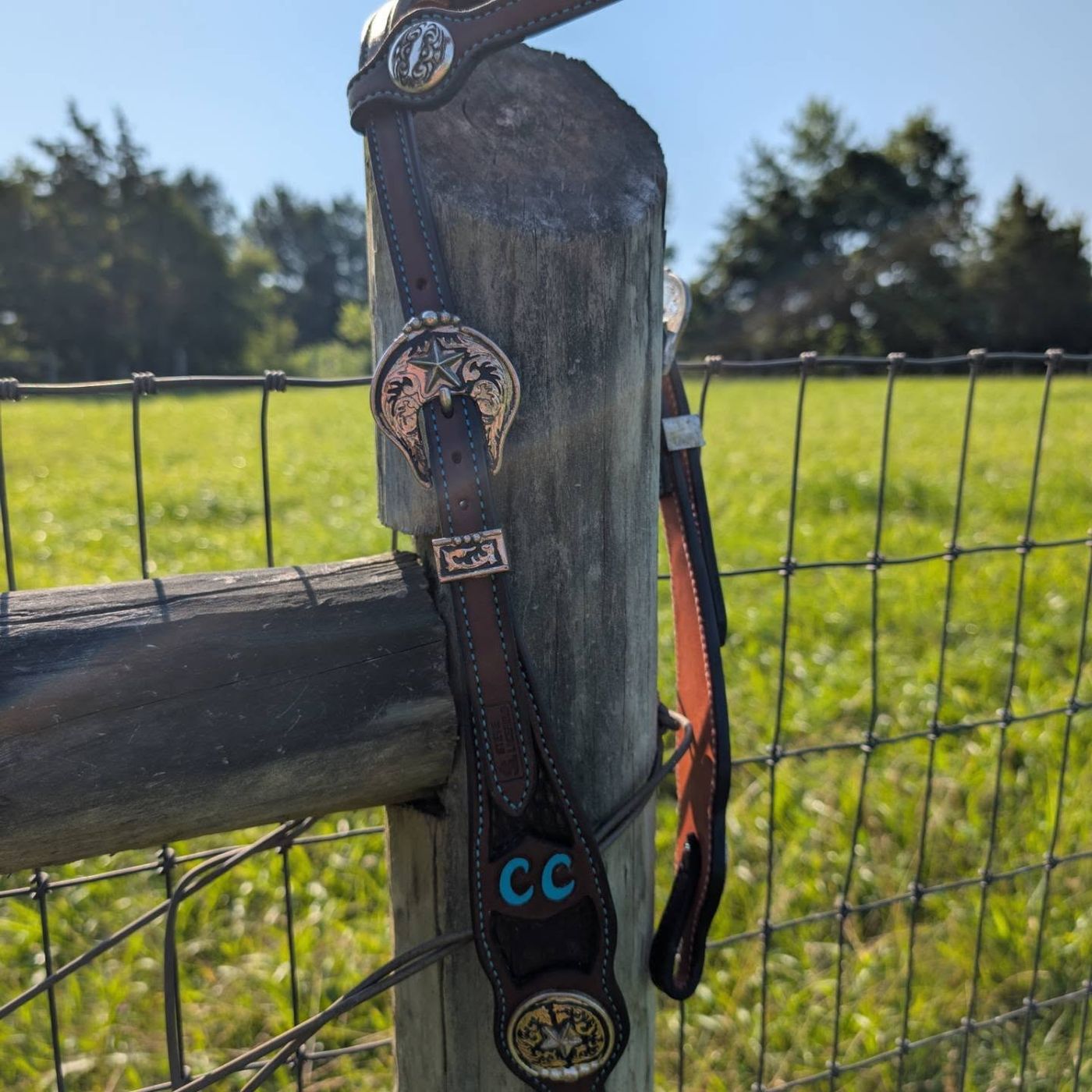 Hand-tooled leather bridle with blue stitching and silver star conchos